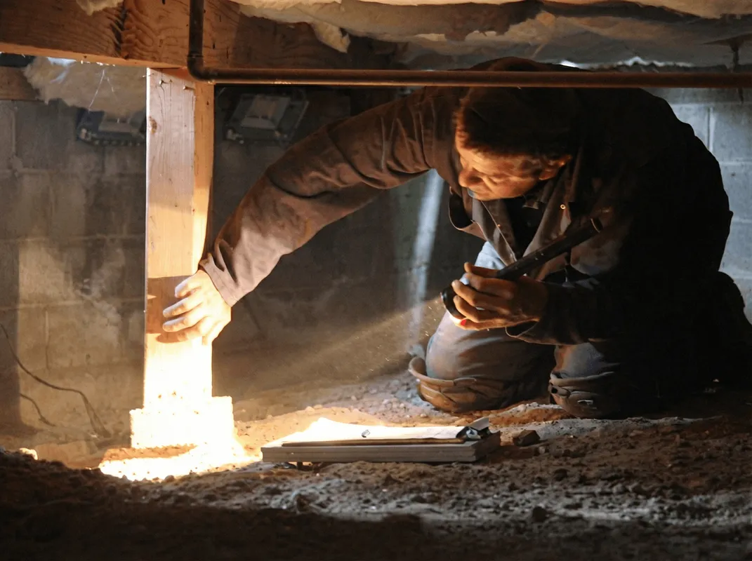 A professional inspecting wooden beams under the floor of a structure in Gilbert, AZ